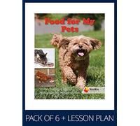 WorldWise Guided Reading Pack Level 4, Pack 3: Student book (x6) and lesson plan (x1) (Flying Start to Literacy WorldWise)