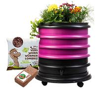 WORMbox | Vermicompostador Compostera 3 bandejas Frambuesa + Jardinera + 250g de Lombrices / 500 und + 1 Coco | 48 litros | Composta residuos orgánicos, lombrices producen Humus de Lombriz