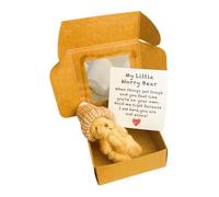 Worry Bear Hug in a Box, 1 juego de mini oso de preocupación con tarjeta inspiradora, regalo de condolencias para Navidad y día de San Valentín, accesorios de escritorio (marrón)