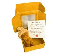 Worry Bear Hug in a Box, 1 juego de mini oso de preocupación con tarjeta inspiradora, regalo de condolencias para Navidad y día de San Valentín, accesorios de escritorio (café)