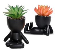WoRuyKot Paquete de 2 Plantas Artificiales Decorativas Pequeñas, Lindas Mini en Suculentas Maceta, Artificiales Decorativas Interior, Adecuadas para Decoración de Oficina y Sala de Estar