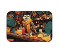 Woshuwo Felpudo antideslizante con diseño de búho, diseño de gafas vintage posadas en un carrito de bar, para interiores y exteriores, entrada, granja, hogar, 40 x 60 cm