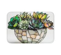 Woshuwo Felpudo antideslizante con diseño de suculentas en maceta blanca, para exteriores, interiores, entrada, granja, hogar, 40 x 60 cm