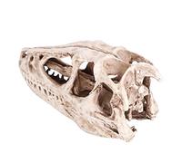 wosume Modelo de cráneo de Dinosaurio, cráneo de Dinosaurio de Resina, Herramienta de enseñanza Modelo de cráneo de Dinosaurio simulado de Resina Esqueleto de Animal simulado para Oficina, Aula,