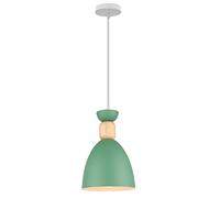 WOTTES Luz colgante Lámpara moderna Iluminación E27 Luces araña Pantalla interior Ø14CM Metal+Madera Luminarias interiores para cocina Dormitorio Sala de estar (Verde 1Pcs)