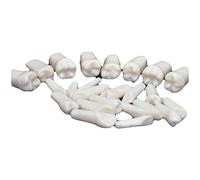 WOTZOV Modelo de Diente Artificial estándar de Resina, 28 Piezas, Modelo de enseñanza de Dientes dentales para Estudiantes de Dentista, Herramientas de enseñanza para