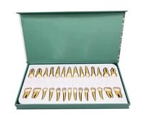 WOTZOV Modelo de enseñanza para el Estudio de los Dientes dentales - Modelo de Diente Permanente de Dos Colores de 28 Piezas - Simulación de Diente Oral para Estudio, ，3X Magnification