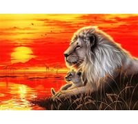 Wowdecor - Cuadro para pintar por números para adultos, niños, niñas; gato, león, caballo, elefante; 40 x 50 cm, preimpreso, lienzo de pintura al óleo