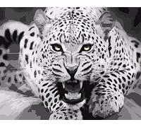 WOWDECOR - Cuadro para pintar por números para adultos, niños, niñas, leopardo, tigre, león, 40 x 50 cm, preimpreso, lienzo de pintura al óleo, lona, Leopard Tiger A., ohne Rahmen