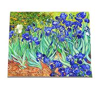 WOWDECOR Kits de pintura por números para adultos y niños, pintura de números para bricolaje, flores de iris de Van Gogh, 40 x 50 cm, lienzo estampado (sin marco)