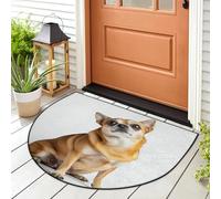 WowPrint Felpudo de entrada con diseño de perro chihuahua, alfombra para interiores y exteriores, lavable, absorbente, antideslizante, 91,4 x 61 cm
