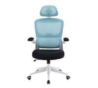Woxter Ergo Blue - Silla ergonómica de Oficina (Eje Acero, Levantamiento por pistón, MallaTranspirable, Reposabrazos, Altura Ajustable)