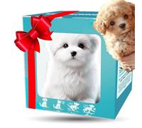 WPDUIODF Perro Robot con IA Mejorada, Cachorro Robot Inteligente Y Realista Que Actúa como Un Perro De Verdad, Perros De Peluche Interactivos For Adultos, Camina, Ladra Y Mueve La Cola.(3)