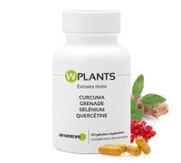 WPLANTS * 317.5 mg / 60 cápsulas * Articulaciones (inflamación), Cardiovascular, Cerebro, Digestión (trastornos gastrointestinales)