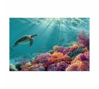 WQBQKKX Cuadros de lienzo con vistas a la ventana mar Animal Cuadros Decoracion para Dormitorios Barra Corredor（Rosa 85-30x40cm Sin marco