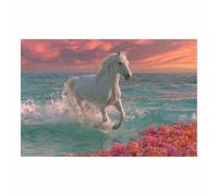 WQBQKKX Cuadros de lienzo con vistas a la ventana mar Caballo Cuadro Impresión Artística Imagen Decoracion de Pared Cocina（Rosa 60-40x60cm Sin marco