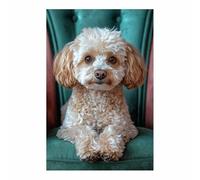 WQBQKKX Moderno Animal Quadros Decoração Sala Lienzos Perro lindo Abstractas Cuadro De Arte De Pared Para Sala De Estar Carteles E Impresiones（Blanco 3-40x60cm Sin marco