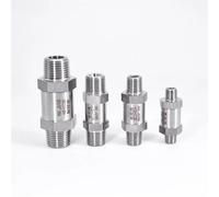 WQGQPXOB 1/8" 1/4" 3/8" 1/2" Male To One Way Check Valve Non-Return Inline 304 Stainless Steel(NPT,1/8 Inch)