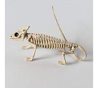 WQHPLMD 12in Animal Skeleton Plastic,Bones with posable Joints for Halloween Pose Skeleton Prop Indoor/Outdoor Decoration Spooky Scene Party Favors,Bat