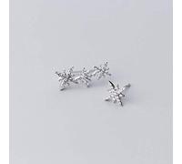 WQHPLMD Earrings for Women, S Earrings Female Korean Style Earrings Star Diamond Sweet Earring ui