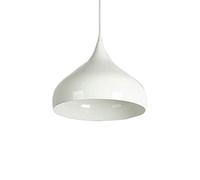 WQHPLMD Simplicidad Moderna 1 luz Colgante lámpara Industrial Retro lámparas de araña Ajustables Modernas Creativas lámpara Colgante para Sala de Estar Comedor habitación de niños (Color:, tamaño