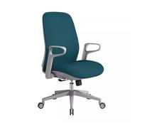 WQQYU6HKF Silla ejecutiva Mobiliario de Oficina, Silla for Personal Apoyo, Ordenador, giratoria for el hogar, protección Lumbar sedentaria y no cansada para Oficina en casa