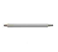 WQVXGKTI de Mantenimiento del Conjunto del Rodillo de Platina de Revestimiento 1 X 79816M P1058930-081 Compatible con térmica ZM600 ZT420 ZT421 203dpi 300dpi(Only Roller)