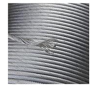 WQZStar Cable de Acero Inoxidable de 4 mm, Cable Resistente de 1 m a 400 m, Cable de Metal Resistente para Uso en terrazas de jardín al Aire Libre (tamaño: 300 m/984 pies) (Onecolor 70 m/229,6 pies)