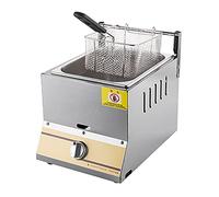 WQZzjm Freidora a Gas Comercial de 10/20 l, de Acero Inoxidable Grueso, con Cesta y Tapa, Ideal para restaurantes y familias, fácil de Limpiar (10 l)