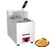 WQZzjm Freidora a Gas de 6 l/12 l, de Acero Inoxidable Resistente, para Papas Fritas, Pollo Frito, con Cesta y Tapa, para restaurantes y cocinas (6 l)