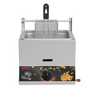 WQZzjm Freidora de Gas Comercial de encimera con Tapa, Cocina Exterior de Acero Inoxidable, freidora de Pollo para Papas Fritas, Ideal para restaurantes, cocinas (11 L + 1 Cesta para freír)