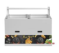 WQZzjm Freidora de Gas Comercial de encimera con Tapa, Cocina Exterior de Acero Inoxidable, freidora de Pollo para Papas Fritas, Restaurante, Cocina (11 L + 11 L)