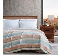Wrangler - Manta Queen, Ropa de Cama de Forro Polar de Felpa ultrasuave, acogedora decoración del hogar para Cama o sofá (Glen Canyon Stripe Blue, Queen)
