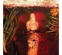 Wreck and Reference - Indifferent Rivers Romance End [Vinilo]