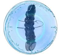 WreGmgg Accesorios EróTicos: Equipo De Entrenamiento áGil para Hombres, Collar Protector Largo Negro para Mejorar La CoordinacióN Durante El Ejercicio - Q