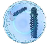 WreGmgg Accesorios EróTicos: Protector Deportivo CilíNdrico Largo para Hombre, Accesorio para Ejercicios De Resistencia, Que Proporciona Comodidad E Intensidad En El Ejercicio - Q (Negro)