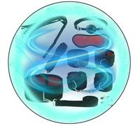 WreGmgg Correa EróTica 8 Piezas De Nylon Casa PráCtica Conjunto con Correa De Resistencia Y Correa De MuñEca, Conjunto De CombinacióN Multifuncional - Q (Rojo) -E12c25