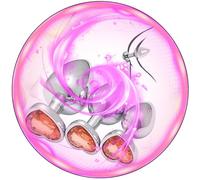 WreGmgg Productos EróTicos Equipo De Ejercicio Inferior En Forma De CorazóN De Acero Inoxidable De Entrenamiento Familiar, Equipado con 3 Niveles De Accesorios De Ejercicio Liso - Q Orange 5e12c19