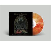 Wrekmeister Harmonies - We Love To Look At The Carnage [Vinilo]