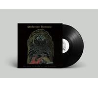 Wrekmeister Harmonies - We Love To Look At The Carnage [Vinilo]