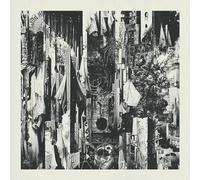Wren - Black Rain Falls