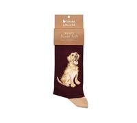 Wrendale Designs - Calcetines para hombre Good as Gold' Labrador, multicolor, 7-11