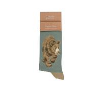 Wrendale Designs In My Footsteps' Bear - Calcetines para hombre, verde, 7-11