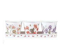 Wrendale Designs - Macetas y Bandeja para Hierbas 'Florales'