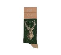 Wrendale Designs Retrato de un ciervo hombres calcetines ciervo, verde, M