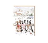 Wrendale Designs - Tarjeta de calendario de Adviento con texto en inglés "While Shepherds Watched' Border Collie