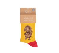 Wrendale SOCKC007 Little One - Calcetines para niños (1 par, talla 23-26), color amarillo, amarillo, 23-26