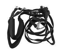 Wresetly Equipo de EquitacióN Ajustable Cabestro de Broca y Correa de Rienda para Accesorios Ecuestres Suaves Espesar Grandes