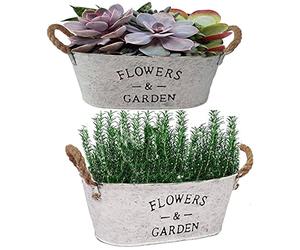 Wresetly Juego de 2 macetas rústicas de metal con asas, macetas suculentas de casa de campesinos, macetas vintage para plantas interiores