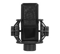 Wresetly Micrófono De Condensador, Portátil, Computadora, Canción K en Equipo de Estudio De Grabación De Membrana Cable